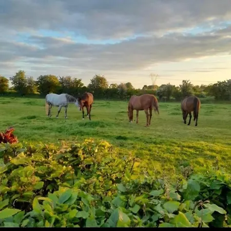 Hébergement de vacances The Hollow *