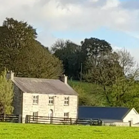 Ferienhaus The Hollow Tullow