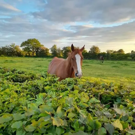 Hébergement de vacances The Hollow *