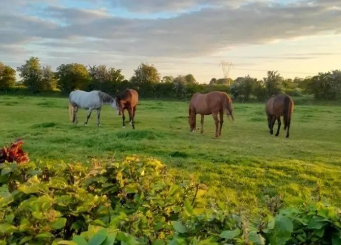 度假居 The Hollow *