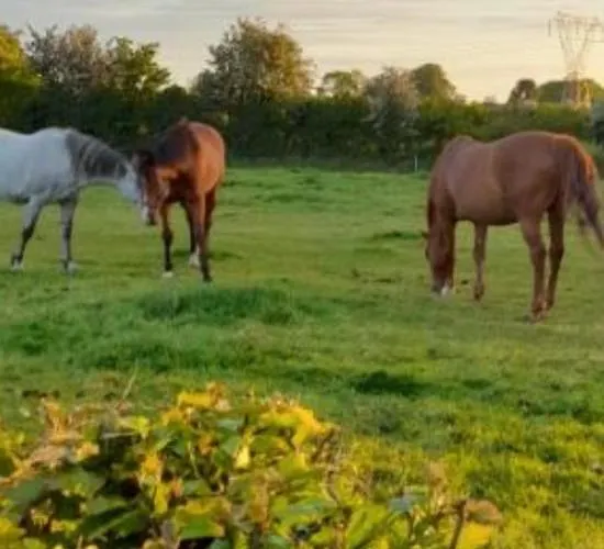 The Hollow 度假居